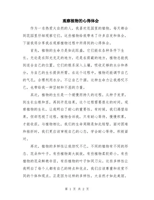 观察植物的心得体会