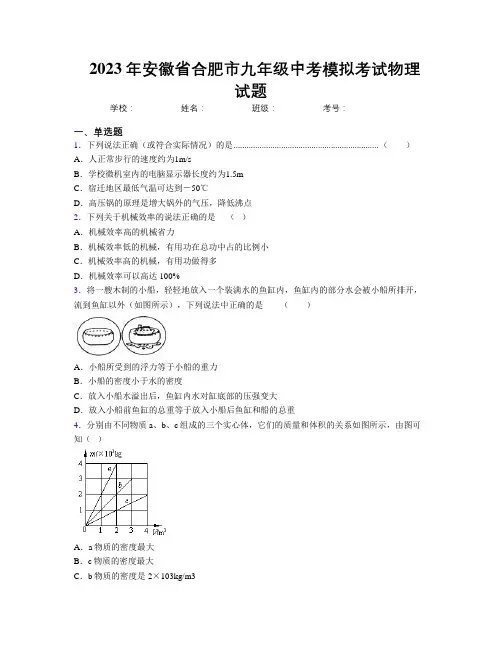 最新2023年安徽省合肥市九年级中考模拟考试物理试题及解析