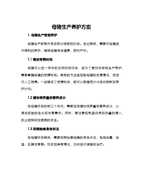 母猪生产养护方案