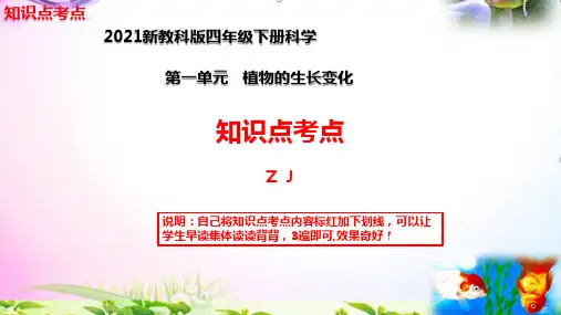 新教科版四年级科学下册第1单元植物的生长变化知识点归纳总复习课件【必读详细】