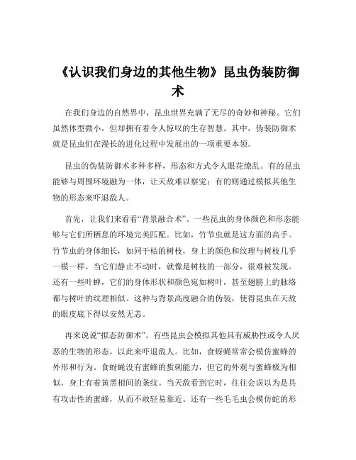 《认识我们身边的其他生物》昆虫伪装防御术