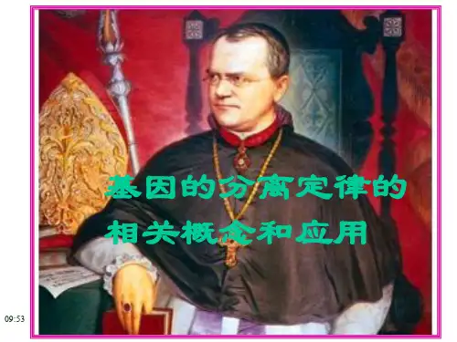 基因分离定律的概念和应用