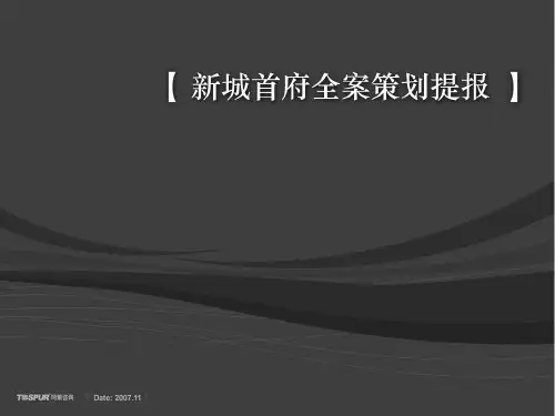 同策推广策略全案.pptx