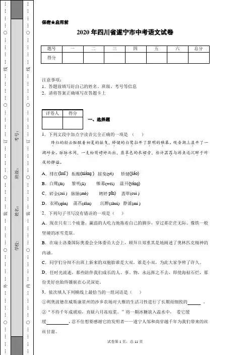 2020年四川省遂宁市中考语文试卷(含详细解析)