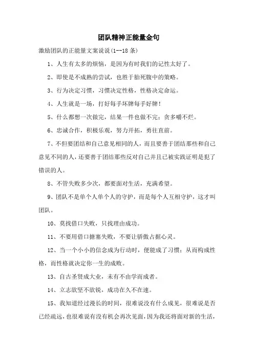 -团队精神正能量金句