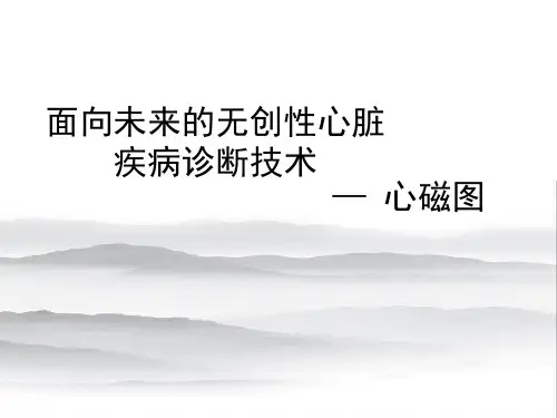 心磁图