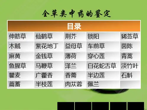 全草类中药的鉴定