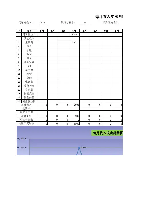 个人收支明细表(自动)