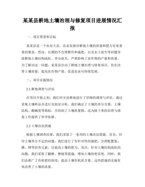 某某县耕地土壤治理与修复项目进展情况汇报