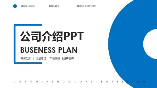 拼多多公司简介PPT图文