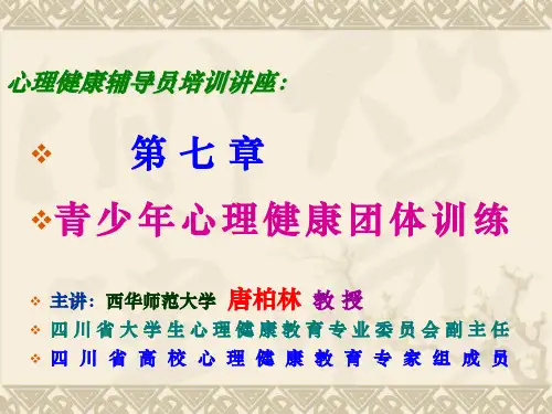第七章_青少年心理健康团体训练课件