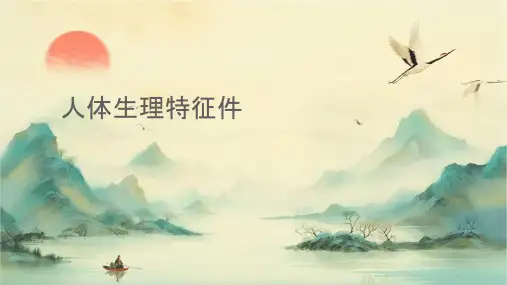 人体生理特征课件
