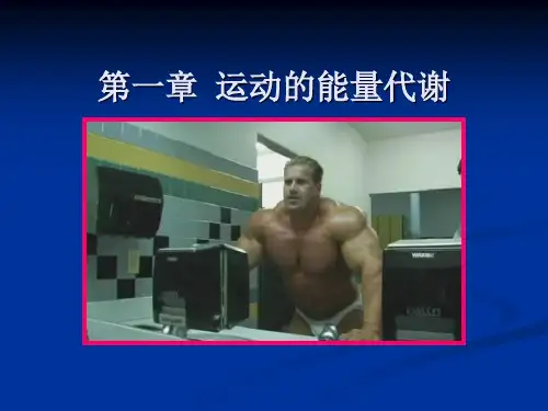 运动的能量代谢
