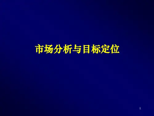 市场分析与目标定位