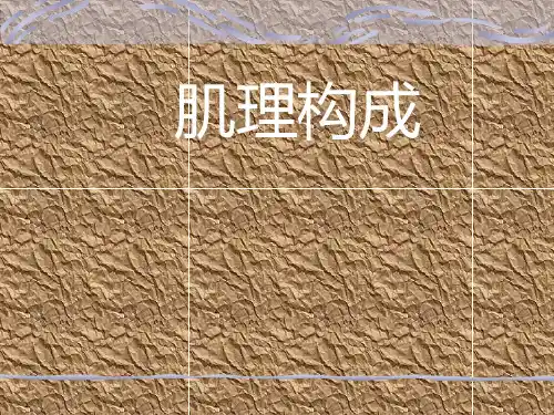 肌理构成