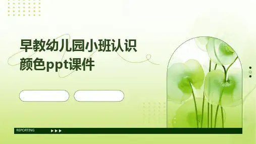 早教幼儿园小班认识颜色ppt课件