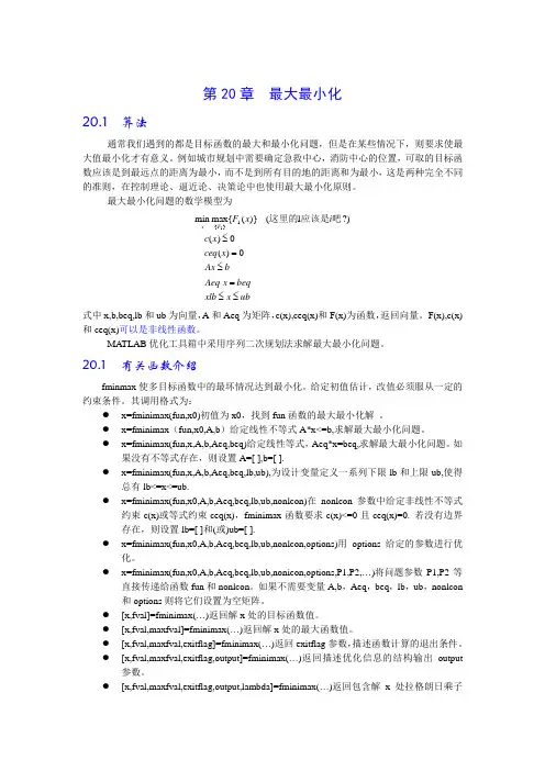 ch20-最大最小化