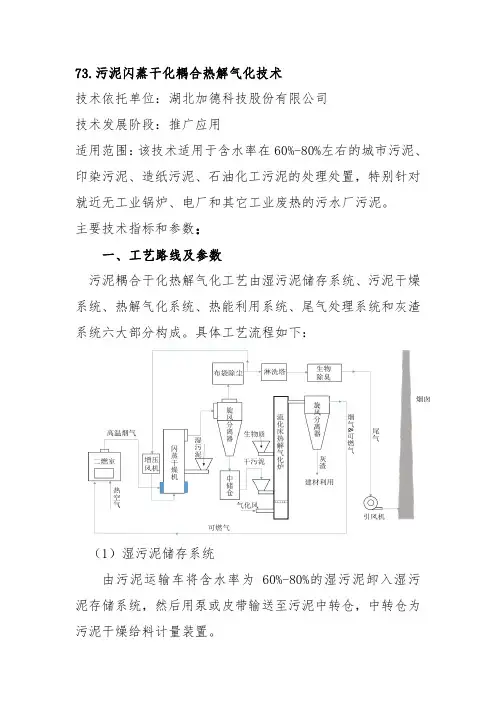 73.污泥闪蒸干化耦合热解气化技术