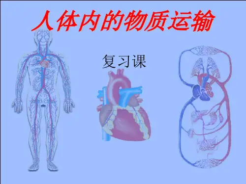 最后复习第四章《人体内物质的运输》复习课