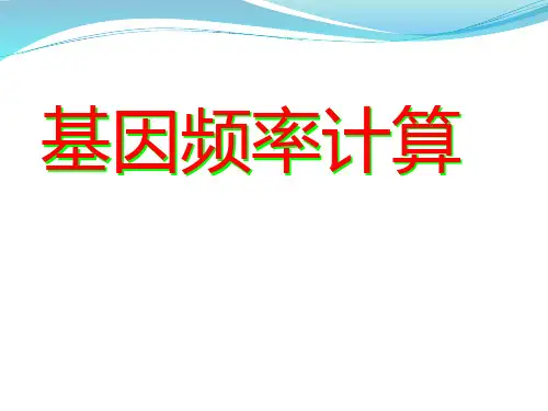 基因频率计算