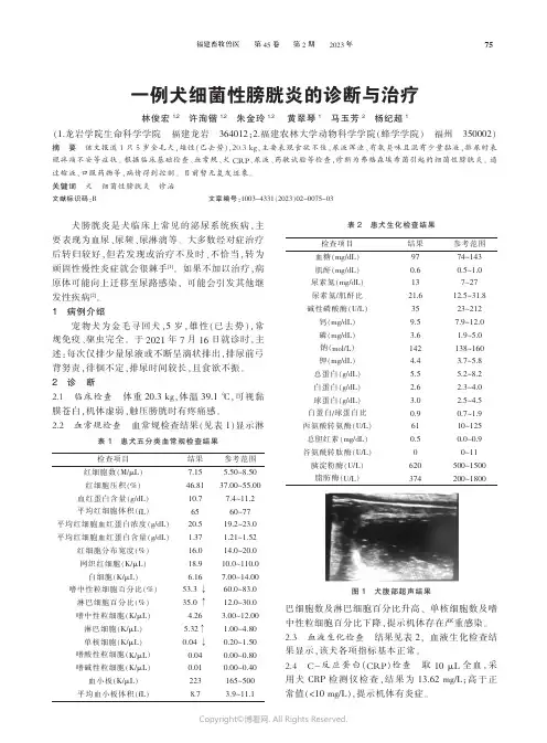 一例犬细菌性膀胱炎的诊断与治疗