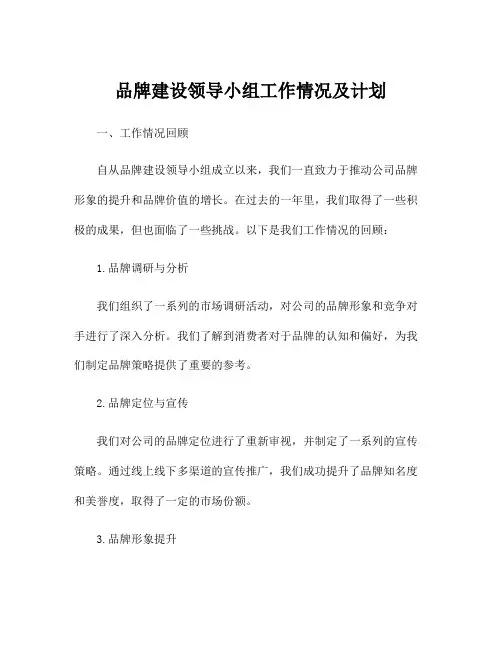 品牌建设领导小组工作情况及计划