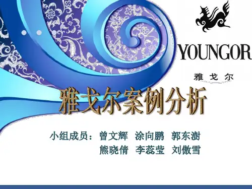 雅戈尔物流案例与分析 2