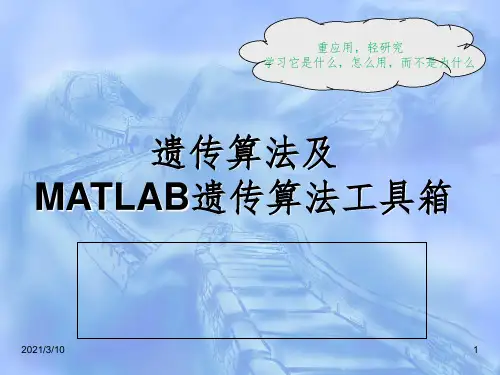 精心遗传算法及matlab实现课件PPT