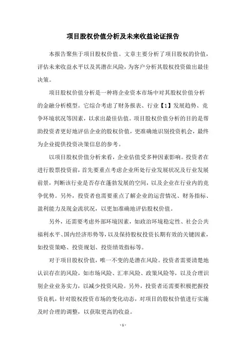 项目股权价值分析及未来收益论证报告
