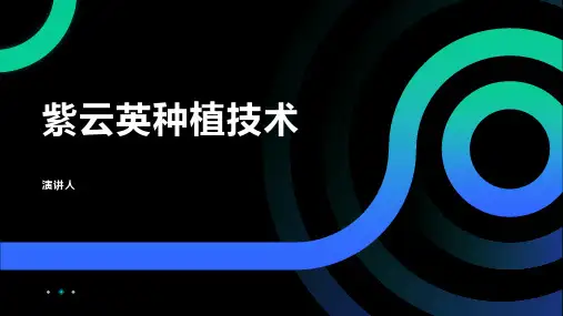 紫云英种植技术
