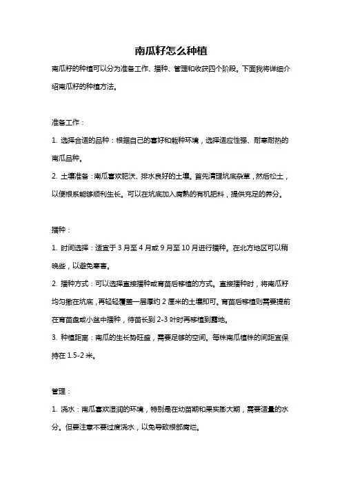 南瓜籽怎么种植