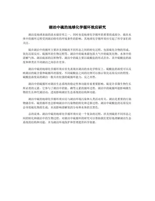 湖泊中硫的地球化学循环效应研究