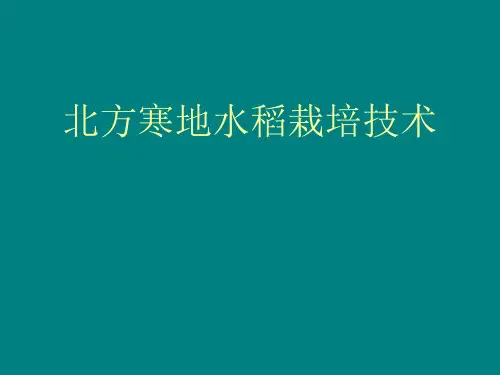 北方寒地水稻栽培技术