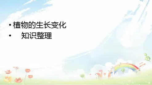 教科版小学三年级下册科学植物的生长变化 (4)ppt课件