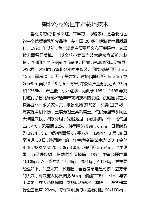 鲁北冬枣密植丰产栽培技术