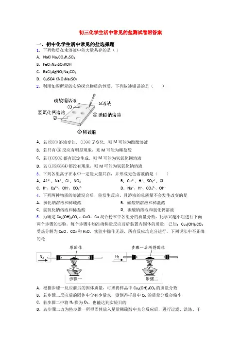 初三化学生活中常见的盐测试卷附答案