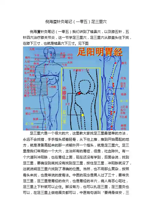 倪海厦针灸笔记（一零五）足三里穴