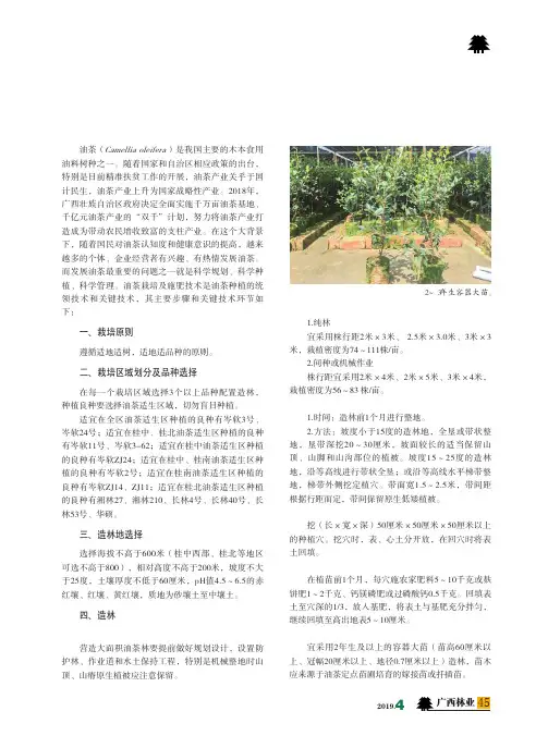 油茶栽培技术