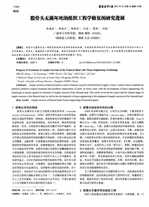 股骨头无菌坏死的组织工程学修复的研究进展