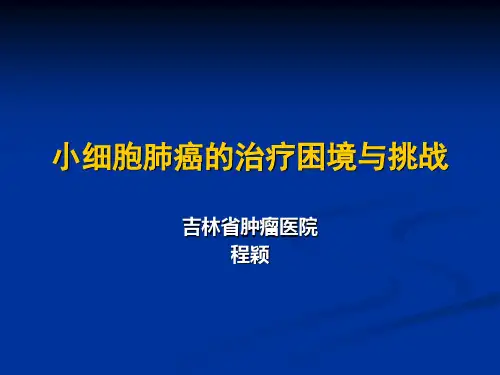 《CSCO小细胞肺癌》PPT课件