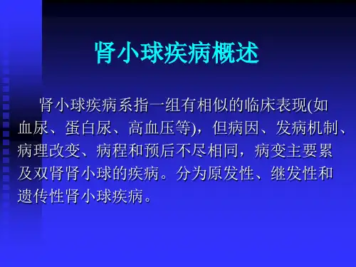 肾小球疾病概述PPT课件