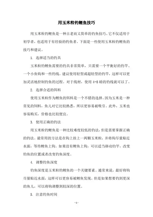 用玉米粒钓鲤鱼技巧