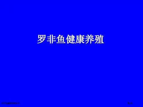 罗非鱼健康养殖技术