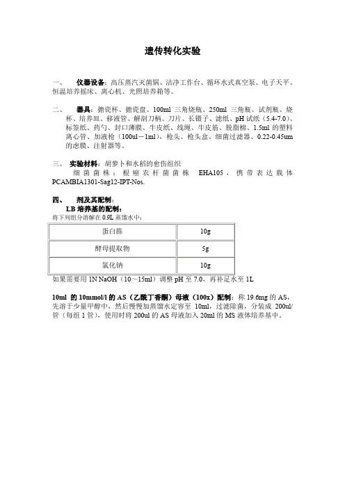 遗传转化实验