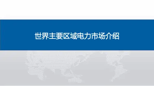 世界主要区域电力市场介绍