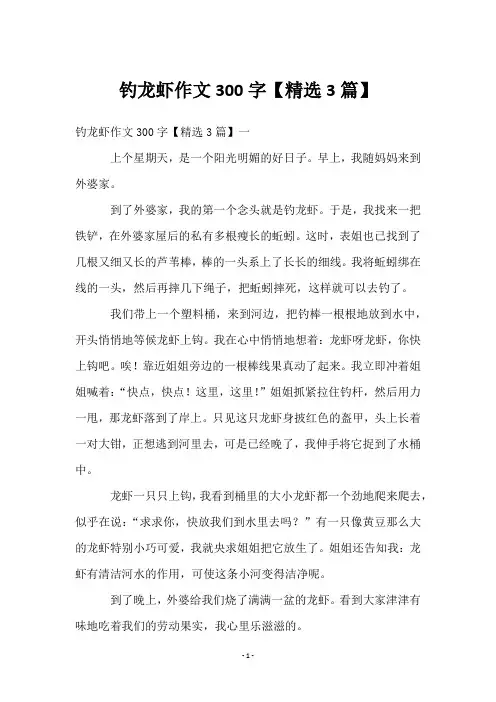 钓龙虾作文300字【3篇】