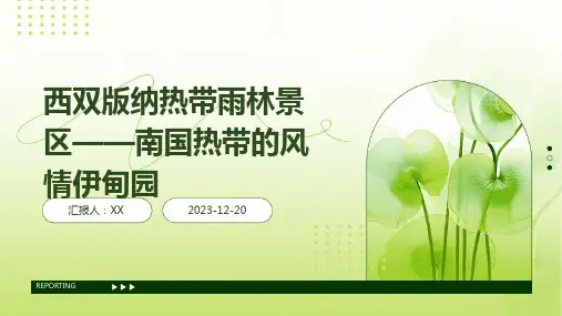西双版纳热带雨林景区——南国热带的风情伊甸园