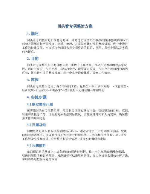 回头看专项整治方案