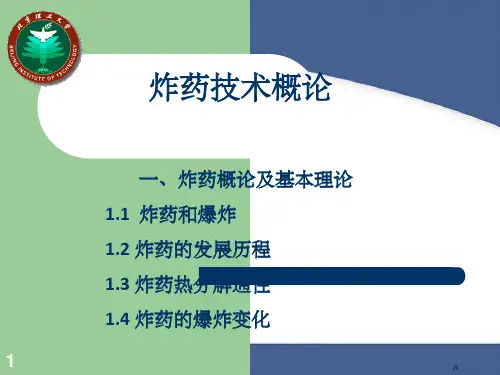 炸药概论及基本理论ppt课件