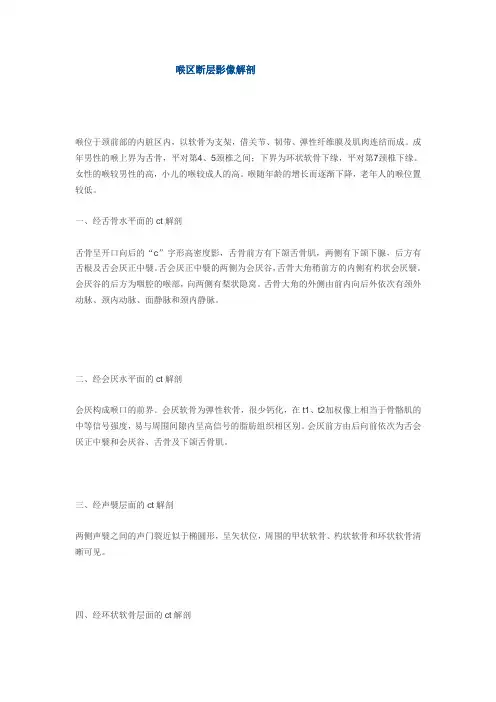 喉区断层影像解剖